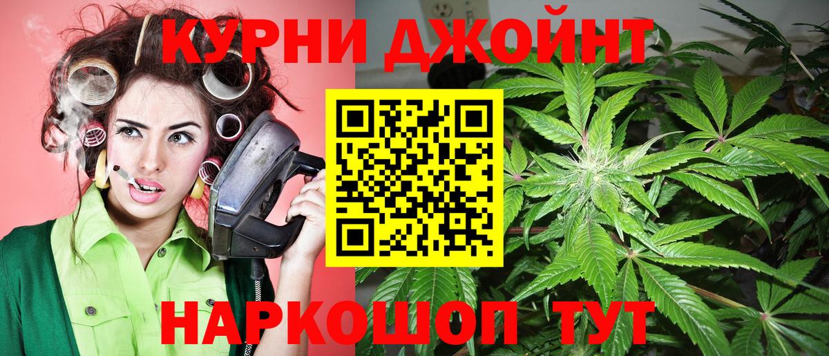 Шишки марихуана планчик  Вход с VPN  Марихуана сатива  Курчатов  МАРИХУАНА Bruce Banner 